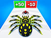 Spider Evolution