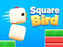 Square Bird
