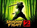 Shadow Fight 2