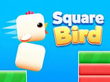 Square Bird