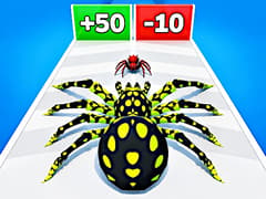 Spider Evolution