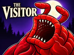 The Visitor