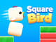 Square Bird