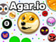 Agar.io